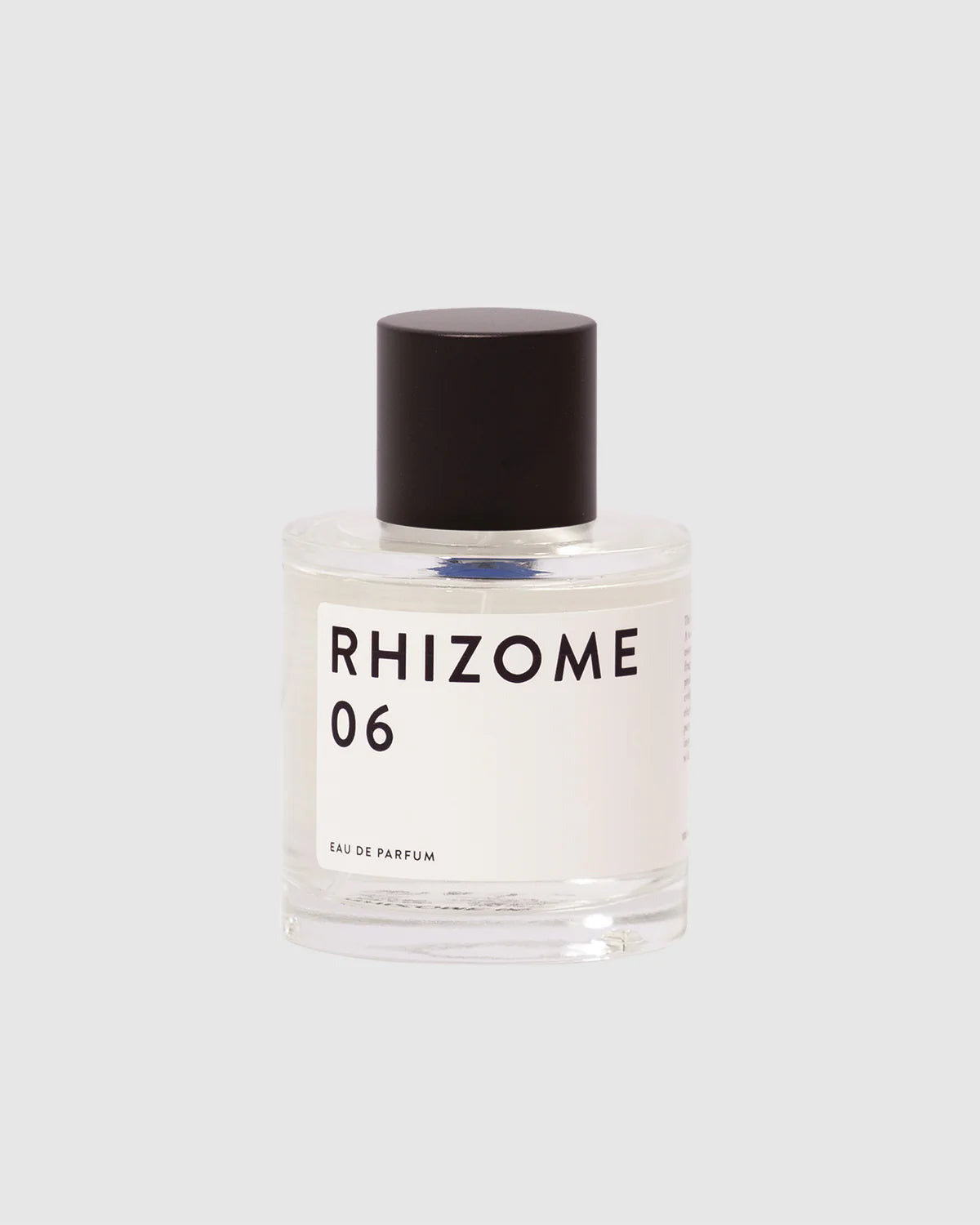 RHIZOME 06 EDP