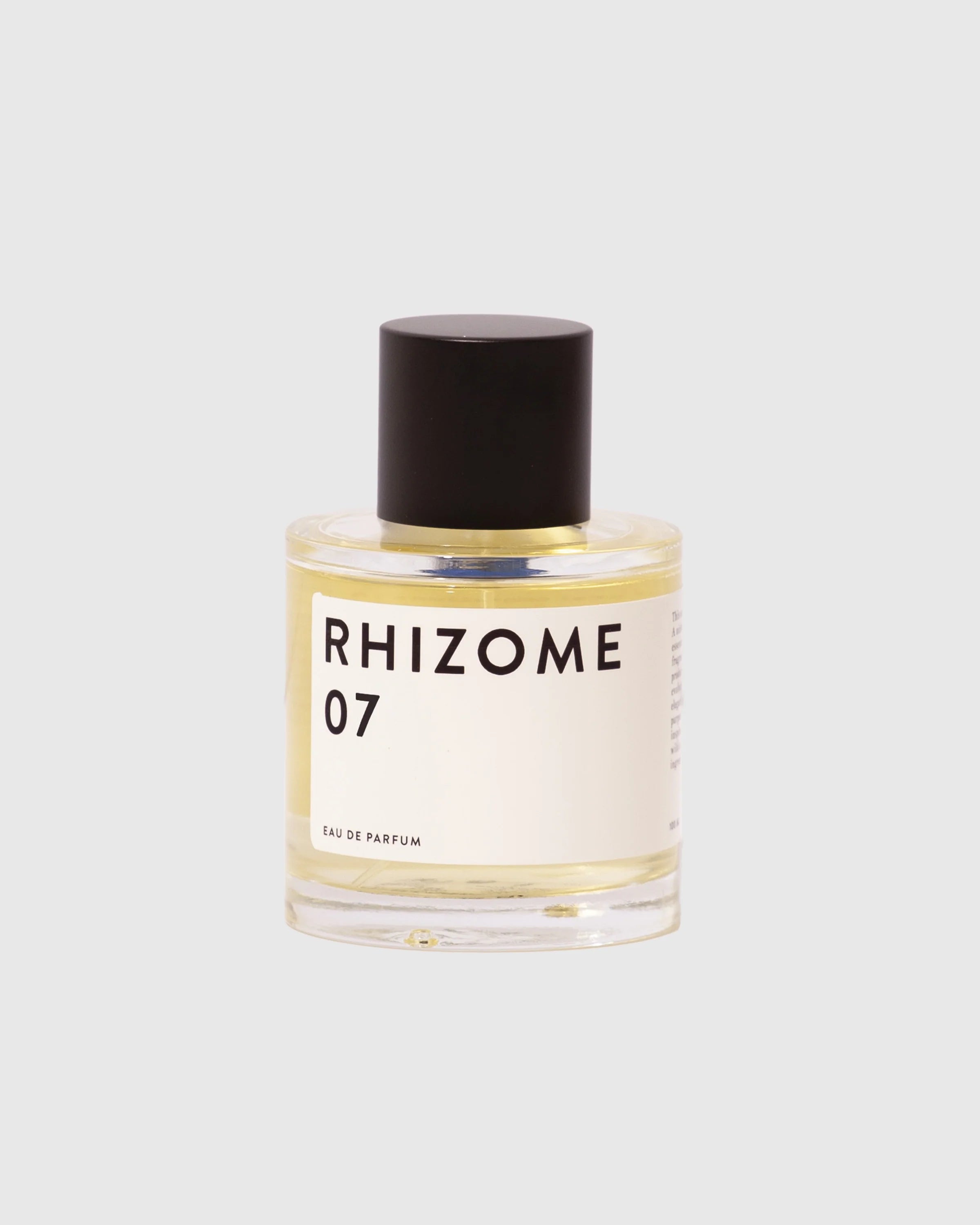 RHIZOME 07 EDP